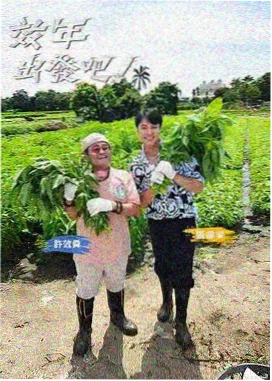 像素之海推荐封面